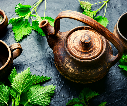 Foraging and drying nettles for tea